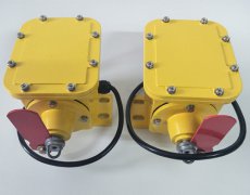 DB-100撕裂開關(guān)，皮帶撕裂保護(hù)BZL-220B防爆縱向撕裂保護(hù)裝置